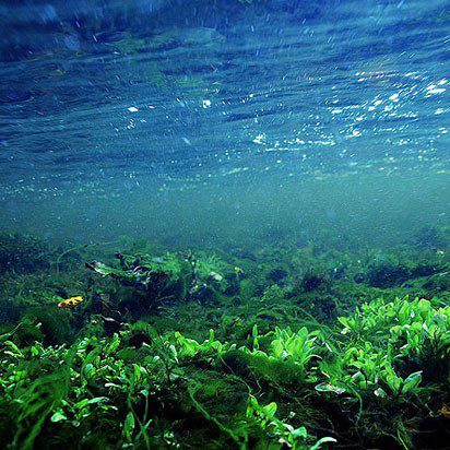 Cuidado Natural Facial