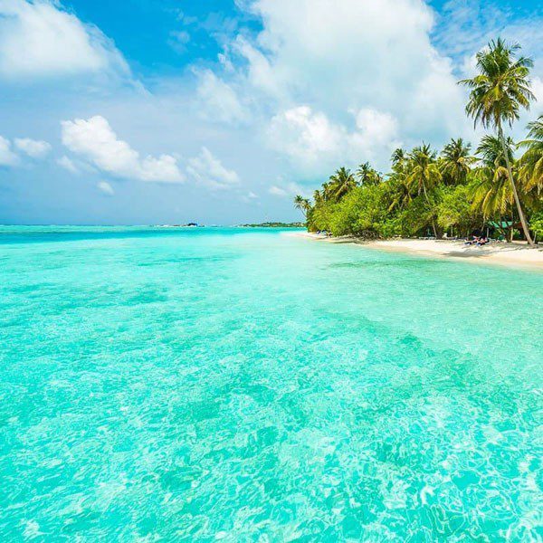 Champu Sal Marina & Algas,  400 grs Voltage Cosmétics