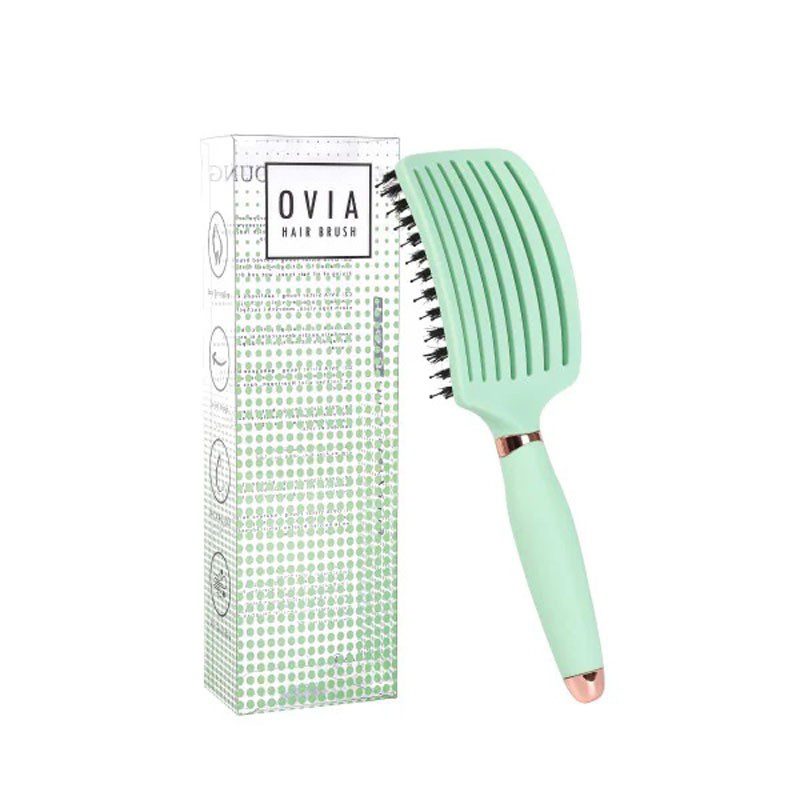 Cepillo Ovia Bv, Sister Young
