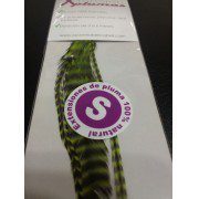 Extensión pluma. 3 Uds. Talla S. Verde lima